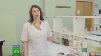 Сумка-холодильник: как долго могут храниться продукты в переносном холодильнике?