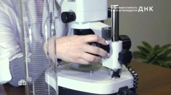 "ДНК": "Внезапная старость в разгар молодости"