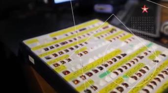 Улика из прошлого. Последняя тайна Чёрной кошки