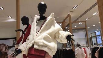 Экология шубы