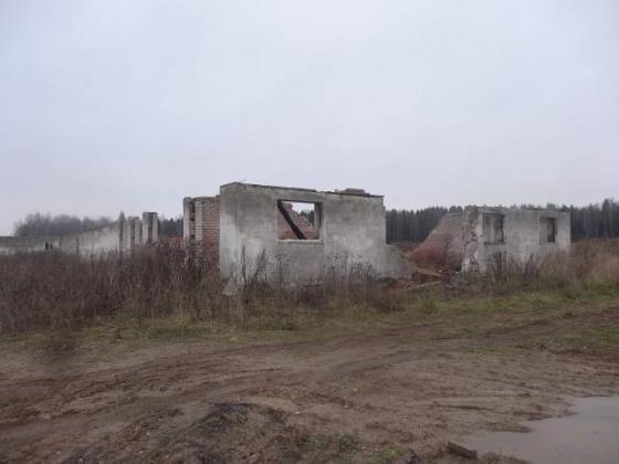 Экспертиза №43842