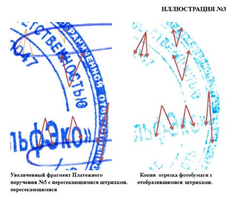 Экспертиза №119