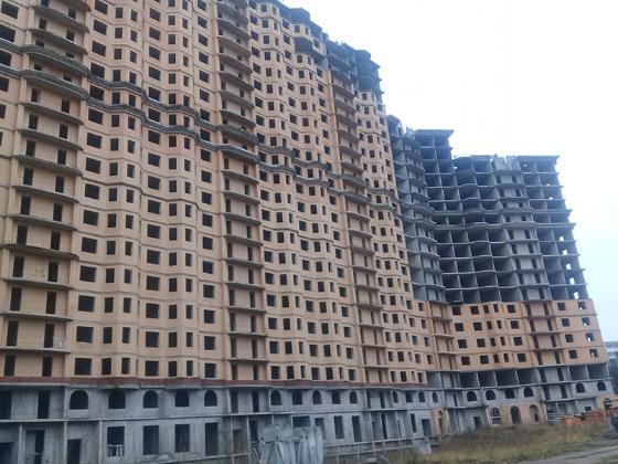 Экспертиза №77363