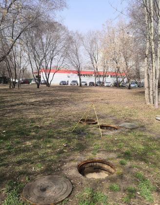 Экспертиза №98091