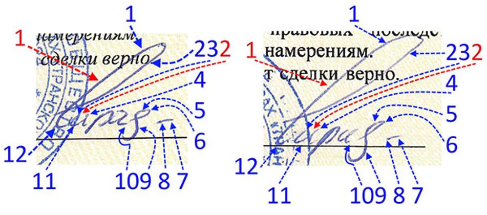 Экспертиза №99808