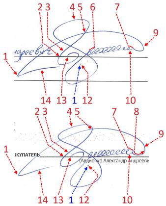 Экспертиза №109178