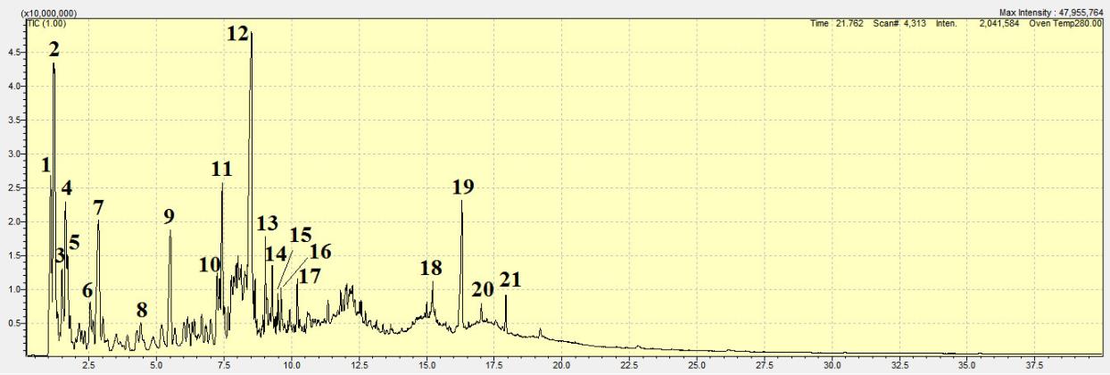 Экспертиза №123324