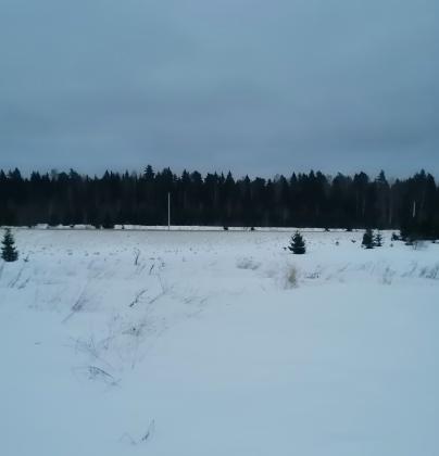Экспертиза №127166