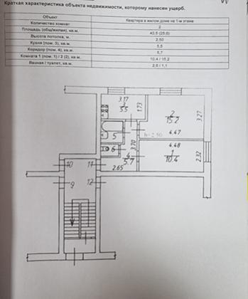 Экспертиза №126195