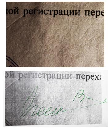 Экспертиза №15698