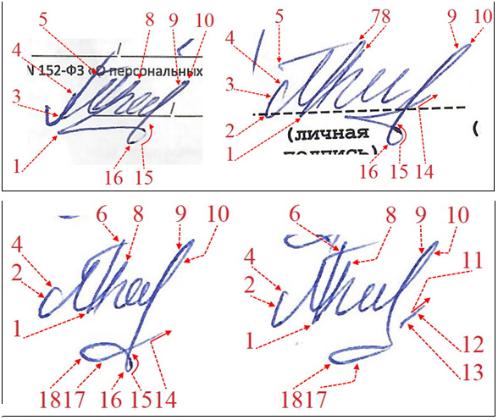 Экспертиза №127940