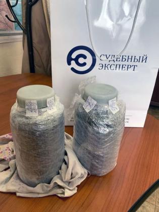 Экспертиза №144233
