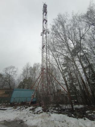 Экспертиза №165020