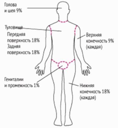 Экспертиза №178238