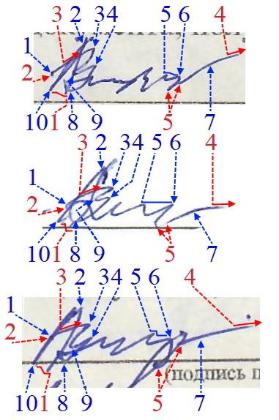 Экспертиза №175009