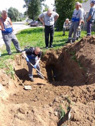 Экспертиза №173660