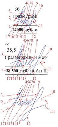 Экспертиза №162806