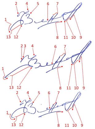 Экспертиза №161587