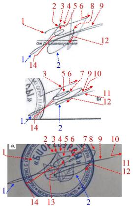 Экспертиза №157182