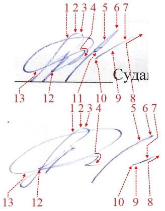 Экспертиза №147175