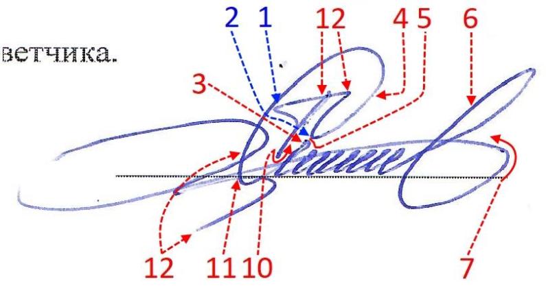Экспертиза №113344