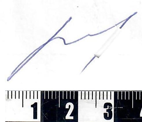 Экспертиза №107309