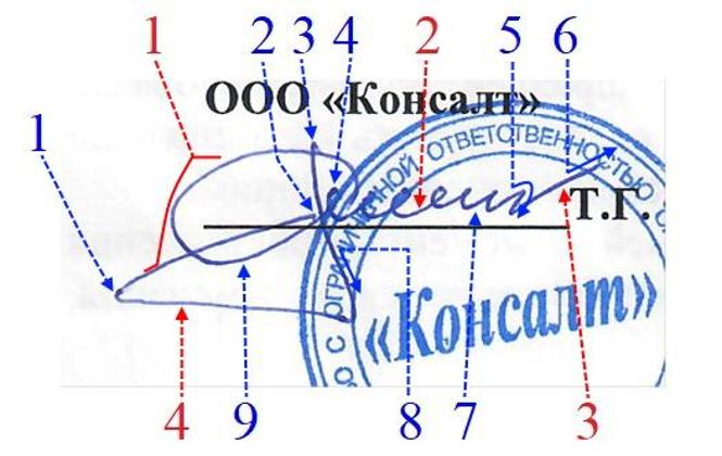 Экспертиза №179759