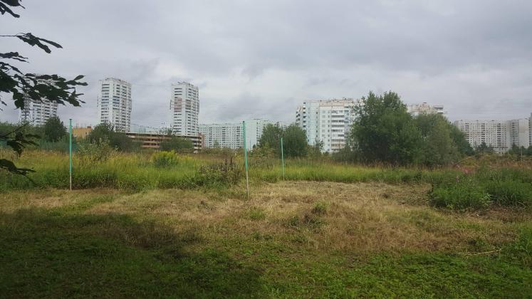 Экспертиза №74878