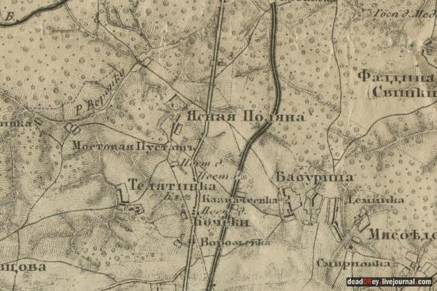 Экспертиза №176904