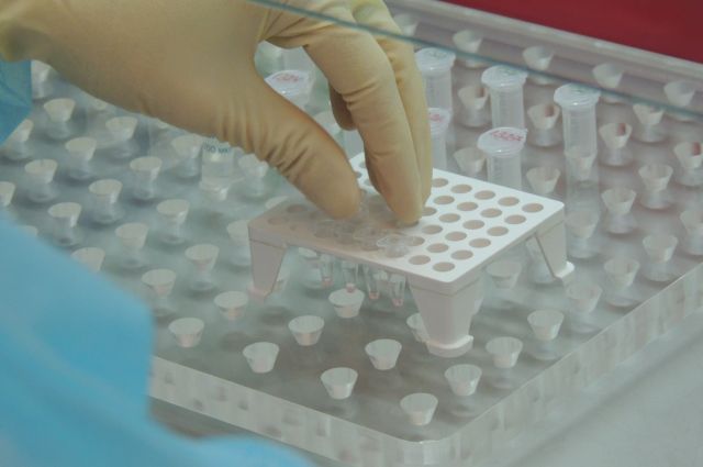 Экспертиза ДНК погибших военных проведена Министерством внутренних дел Украины. Идентифицирован 71 человек