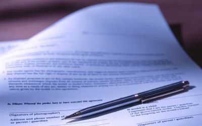 Слухи о разногласиях по поводу концепции Российской общественной инициативы не подтвердились