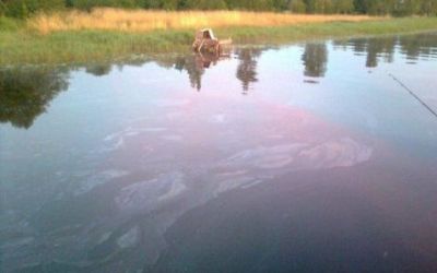 В реке Даугаве в Латвии оказалось неизвестное химическое вещество