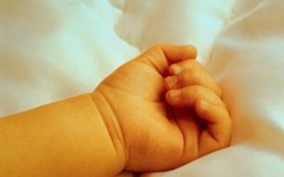 В Минске в одной из квартир в морозильной камере обнаружили трупы младенцев