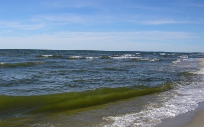 По факту убийства на судне Териберка назначена психолого-психиатрическая экспертиза