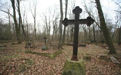 Экспертиза определит исторические границы Митрофаньевского кладбища