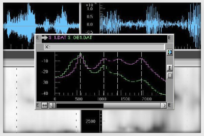 Моменты особой сложности фоноскопических экспертиз, экспертиз голосовой записи