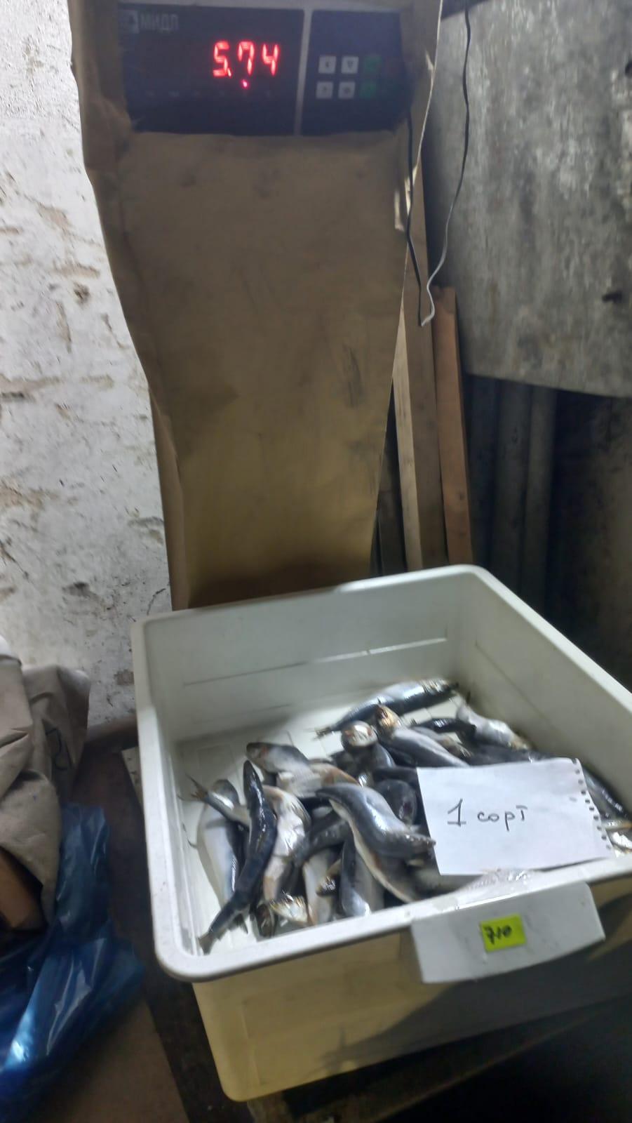 Экспертиза №173118