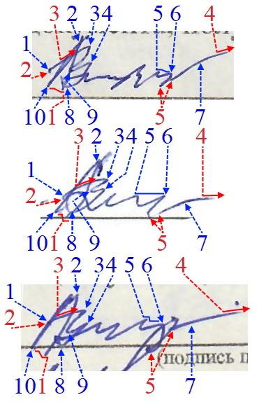 Экспертиза №175009