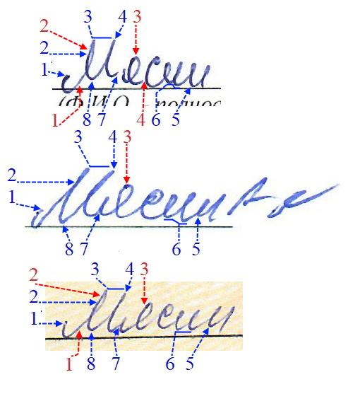 Экспертиза №174904