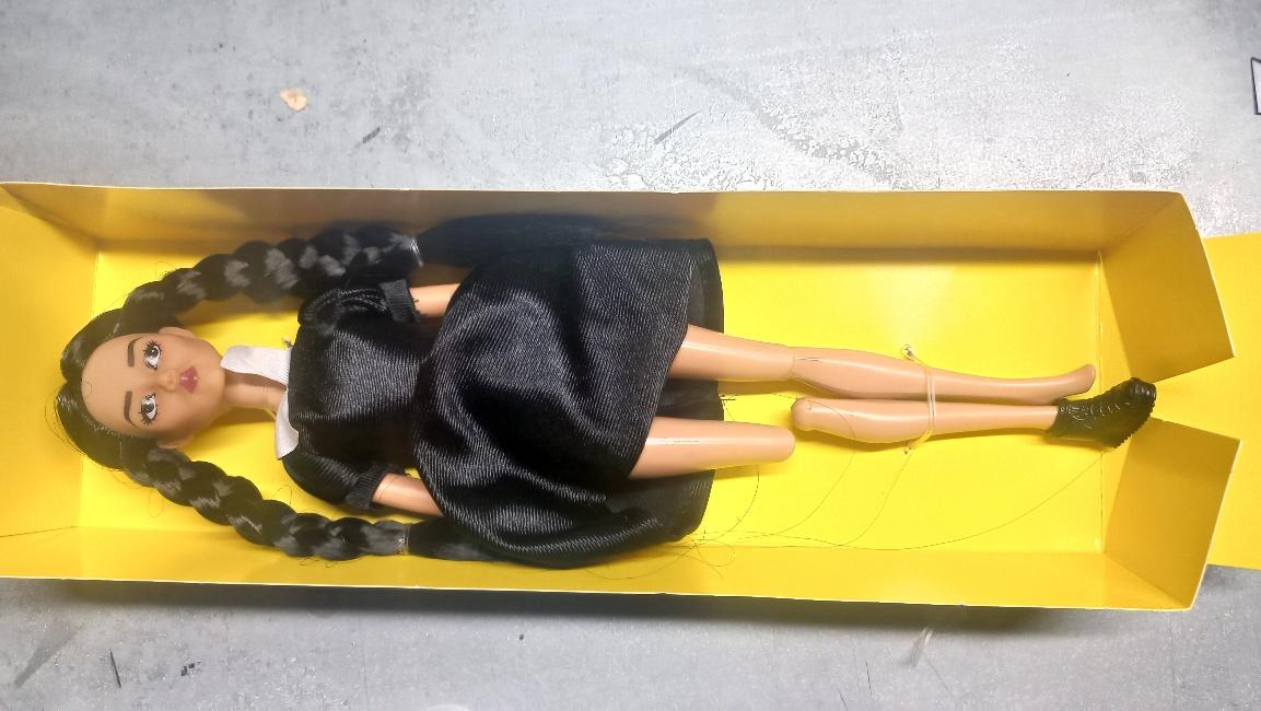 Экспертиза №174668