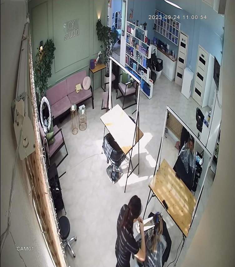 Экспертиза №174206