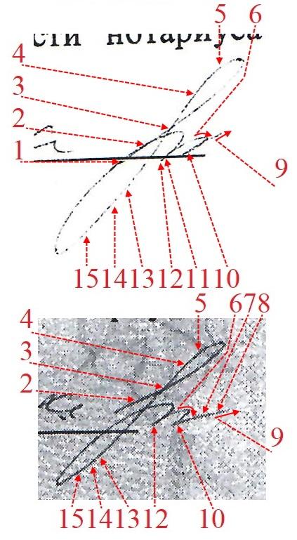 Экспертиза №173450