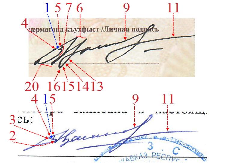 Экспертиза №172903