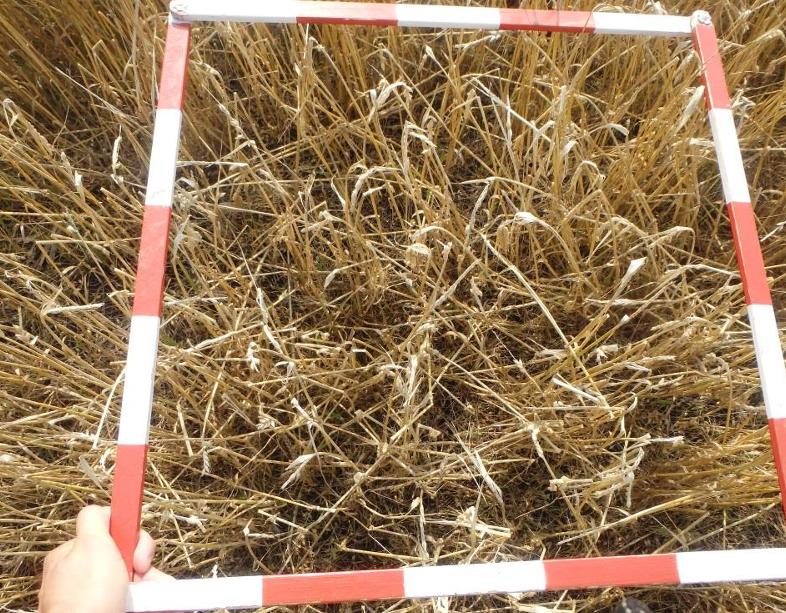 Экспертиза №169043