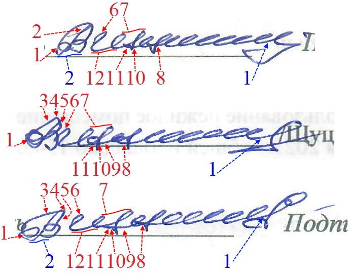 Экспертиза №169441