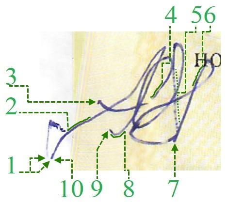 Экспертиза №167637