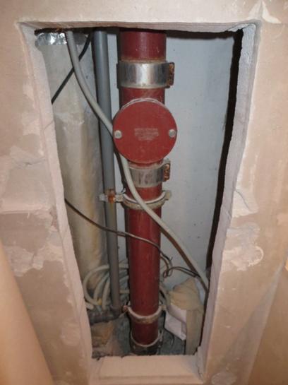 Экспертиза №155051