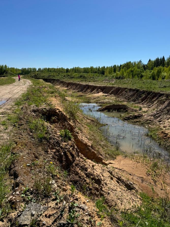 Экспертиза №148591