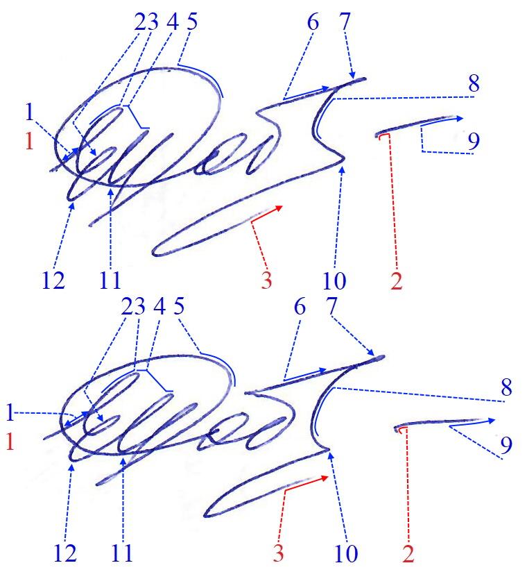 Экспертиза №165173