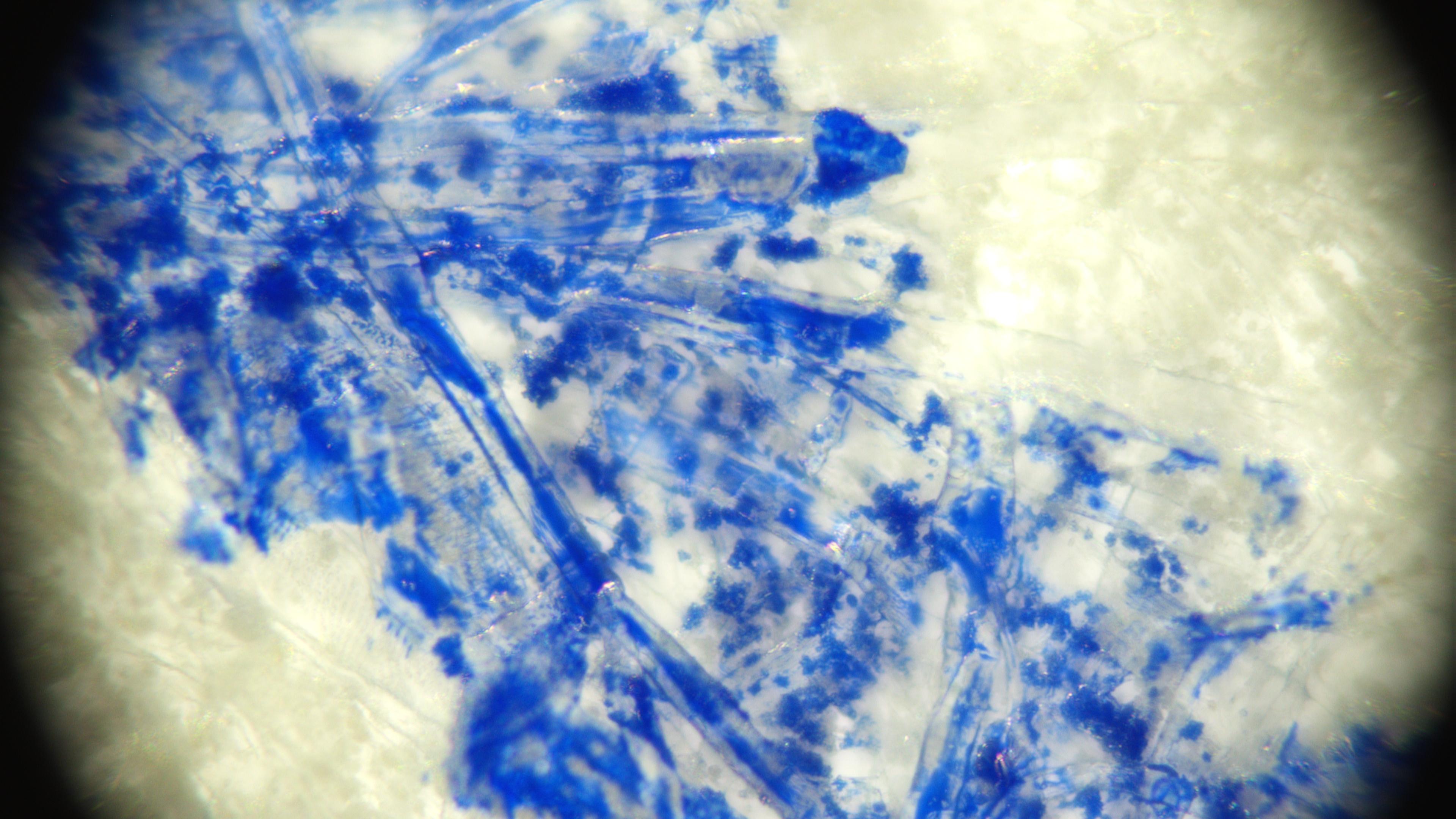 Экспертиза №165100